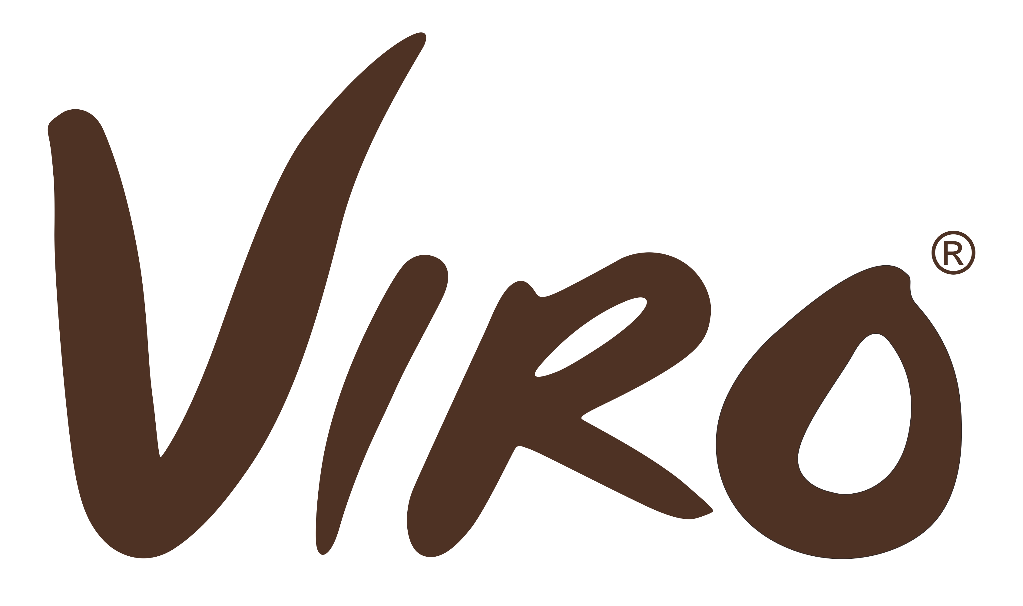 Viro, Your #1 Tropical Architecture Specialist